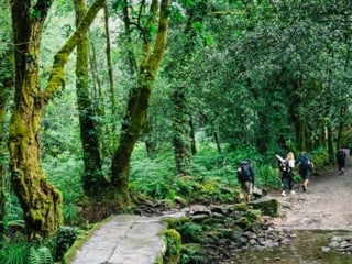 Whimsy Soul - camino de santiago portugal guide-151