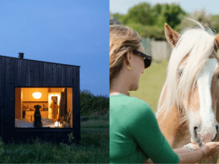 Whimsy Soul - ireland airbnb 103
