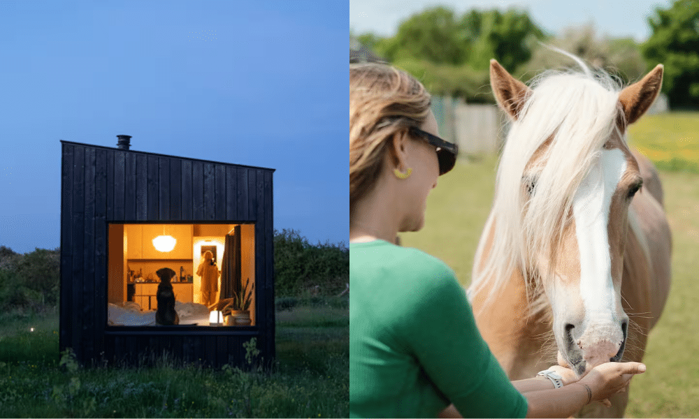 Whimsy Soul - ireland airbnb 103 Whimsy Soul - ireland airbnb 103