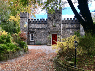 Whimsy Soul - ireland airbnb 106