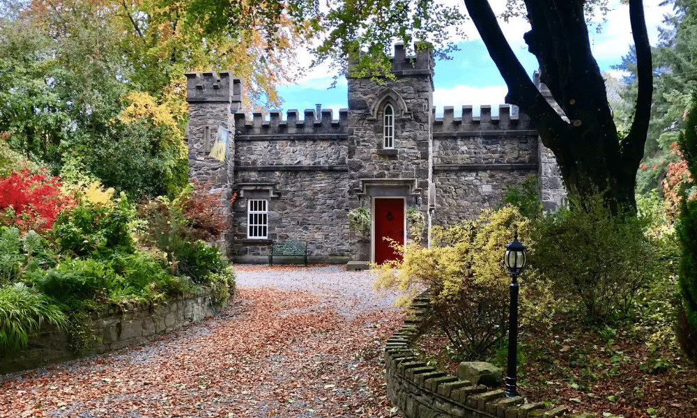 Whimsy Soul - ireland airbnb 106 Whimsy Soul - ireland airbnb 106