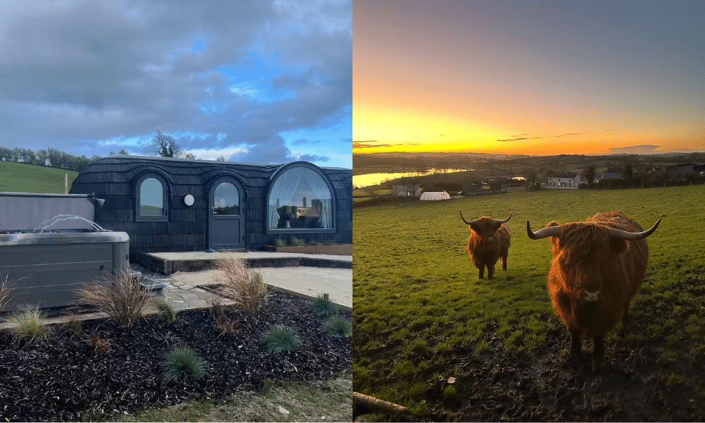 Whimsy Soul - ireland airbnb 108 Whimsy Soul - ireland airbnb 108