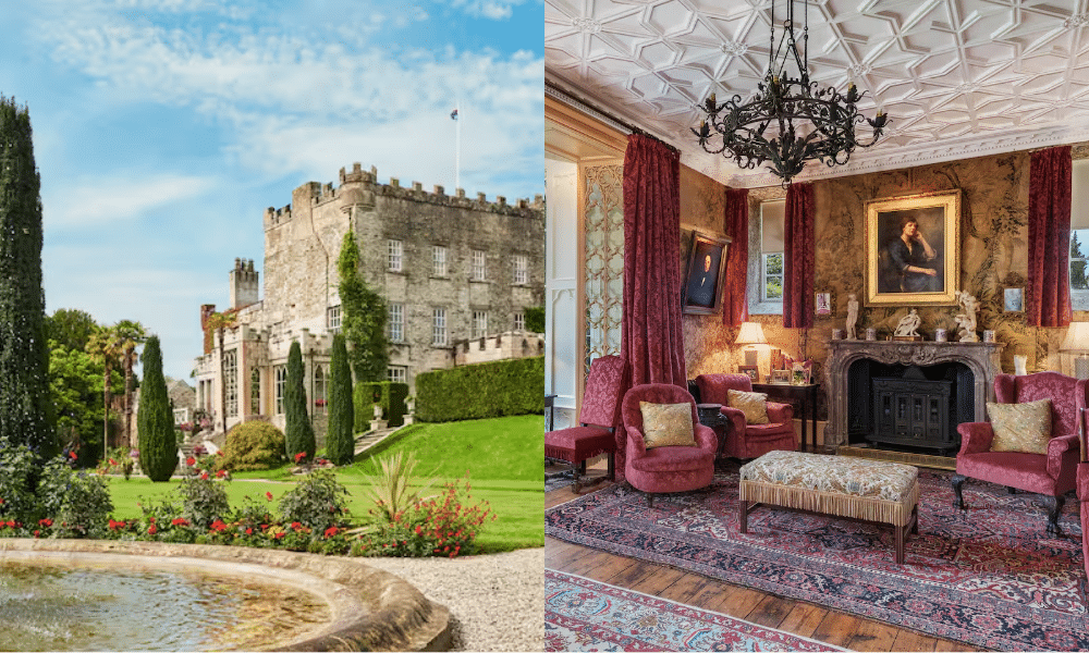 Whimsy Soul - ireland airbnb 109 Whimsy Soul - ireland airbnb 109