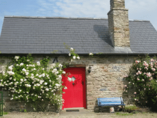 Whimsy Soul - ireland airbnb 111