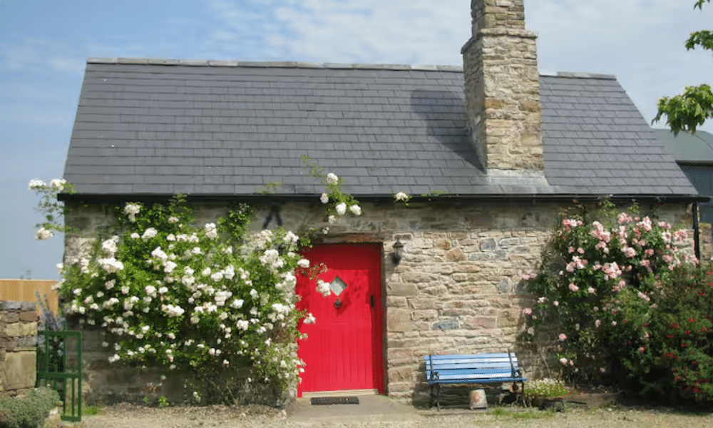 Whimsy Soul - ireland airbnb 111 Whimsy Soul - ireland airbnb 111