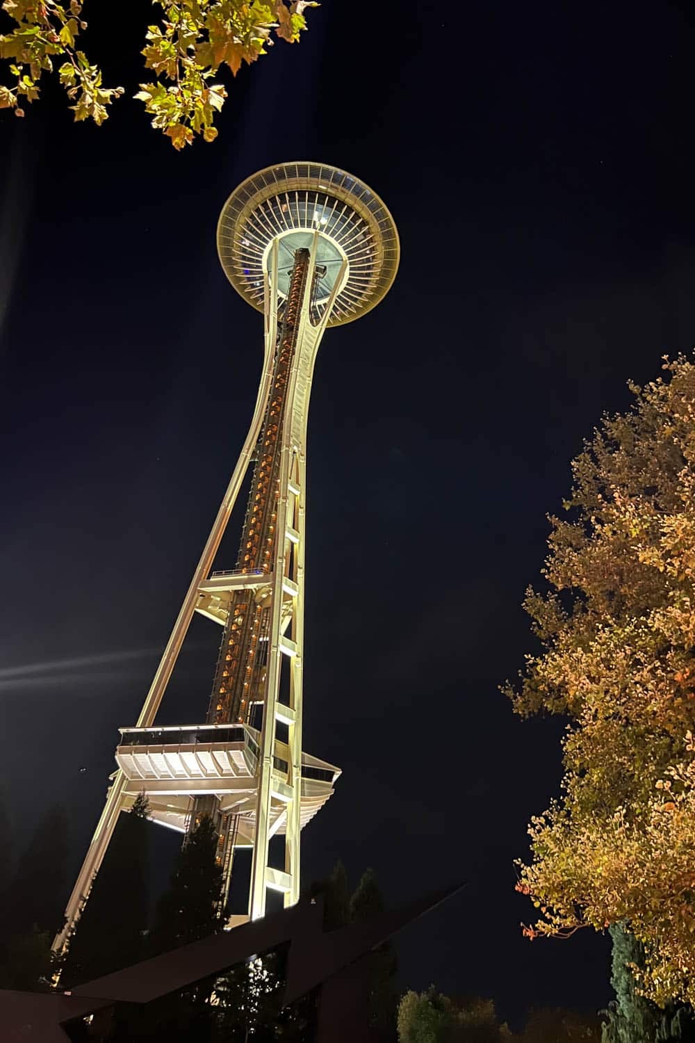 Whimsy Soul - seattle things to do guide-111