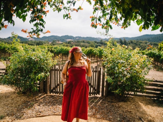 Whimsy Soul - anderson valley boonville-102
