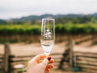 Whimsy Soul - anderson valley boonville-104